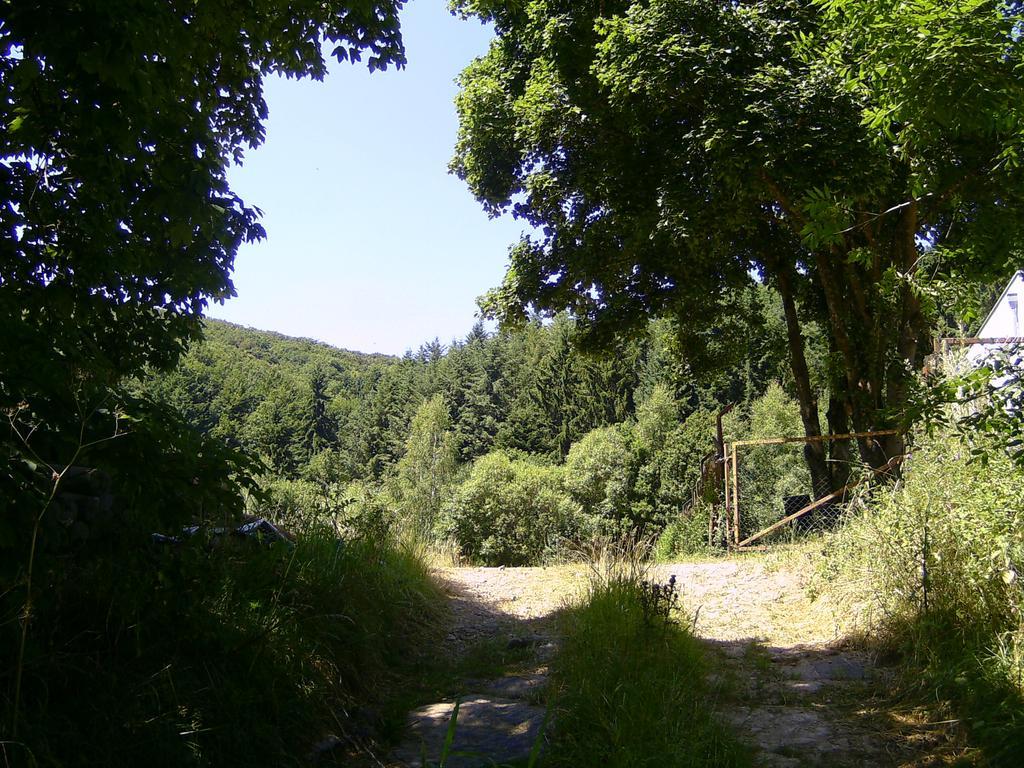 Ferienwohnung Landferien Eifel Pittenbach Exterior foto